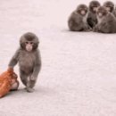 아,귀여워 이미지