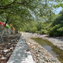 나무그늘식당 이미지