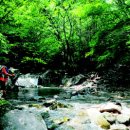 중원계곡펜션 이미지