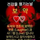 명심 Daum카페