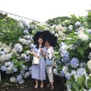 [제주도 여행일지] 2일차 코스 (카멜리아힐,옥돔식당,보말칼국수,스테이위드커피카페,흑돼지구이)