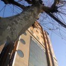 신촌삼거리 이미지