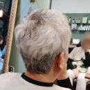 Vanity & co hair(베니티헤어)