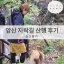 앞산커뮤니티센터 | 심신활가 가을 앞산 자락길 산행 후기