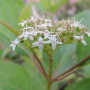 덕풍중학교 이미지