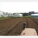 오산6-1 농로 이미지