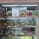 경기도 수원시 권선구 탑동로 11 (탑동) | [수원 강경불고기 수원탑동점] 부모님 모시고 가기 좋은 서수원 맛집 추천