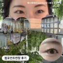 아솔리래쉬아트 | 논현동 속눈썹 애니메래쉬 led속눈썹 1세대 논현본점 펌포인트연장 3번째 방문 후기