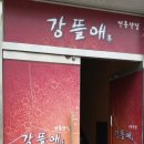강뜰애 이미지
