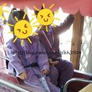 숲속둥지어린이집 이미지