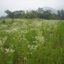 엘리제를 위하여 이미지