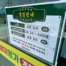 매생이를 한입 가득 장성현지인맛집 매생이 명가