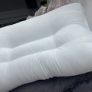 세연이불