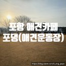 포댕 | 포항 오천 애견카페 애견운동장 포댕 방문 후기(feat. 최애 애견카페)