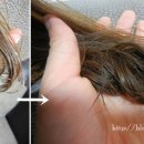 성화클리닉 이미지