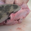 수정갈비 이미지