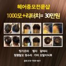 헤어증모하다