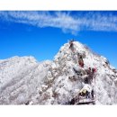 봉림상가사거리 이미지