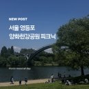GS25 검암공원점 | 양화한강공원 피크닉 후기: 위치, 편의시설, 추천자리 정리