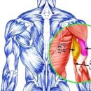 테일러짐 진천점 이미지