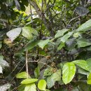 둘만농장 이미지