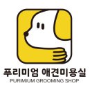 푸리미엄 이미지