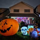 일화농장 | [EF 토론토 어학연수 후기] 43. 캐나다 동부 단풍여행 - 크랜베리 농장 체험, 무스코카 국립공원