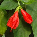 이화원(온실) 이미지