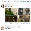 유아이빈티지 | 디놀할사람 구함 익서스60(익시70) 빈티지 디카 직구 후기