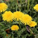 (주)메타록 이미지