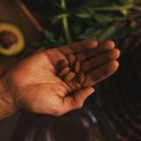 아몬드피트니스 이미지