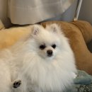 미소랑푸드 이미지