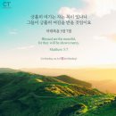 오늘;제주
