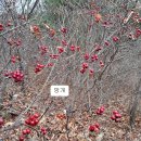 나루터노래연습장 | 대부도[인수조경에서 나루터버스정류장까지]