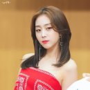 빨간여우 이미지
