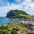 어라운드폴리캠프 | 제주도부터 강원도까지, 일하기 딱 좋은 워케이션 숙소 BEST 7