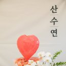 [현장 스냅] "세월보다 고운 웃음을 담다" - 어느 특별한 80세 산수(傘壽)연 스냅 촬영 후기