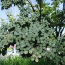 방학사거리 이미지