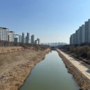 이용식이비인후과의원 네이버블로그
