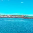 배동문농장 이미지