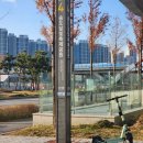 마음을 읽는 타로상담 | 송도 사주 마음을 읽는 인천송도철학관사주작명소 상담 후기