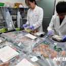 파동마트 이미지