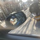 광주다온동물병원 이미지