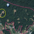 이시백 묘 이미지