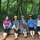 계족산황톳길 이미지