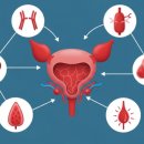 요 요 요 | bn01 요습관 효능 내돈내산 후기 요실금 빈뇨개선 효과는?