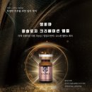 셀비아인