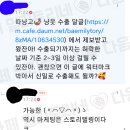 가보 Daum카페