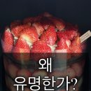 막내 | 대전 성심당 롯데백화점 딸기시루막내 솔직후기 꼭 사야 할 빵 추천
