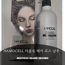 하모헤어 | 두피 가려움 탈모 초기 여성 전용 샴푸 추천 후기